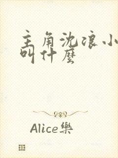 主角沈浪小说名叫什么