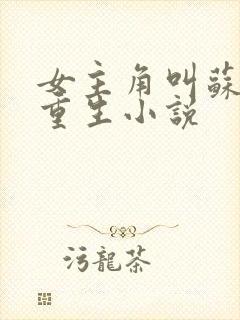 女主角叫苏婉的重生小说