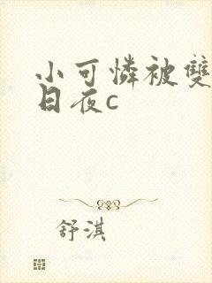 小可怜被双胞胎日夜c