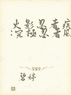 火影忍者疾风传:究极忍者风暴4