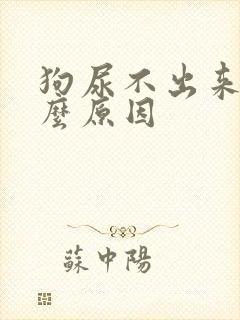 狗尿不出来尿什么原因