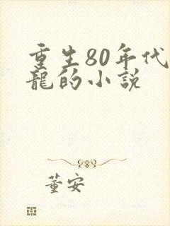 重生80年代李龙的小说