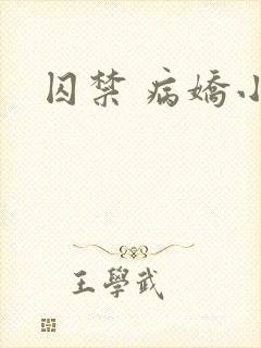 囚禁 病娇小说