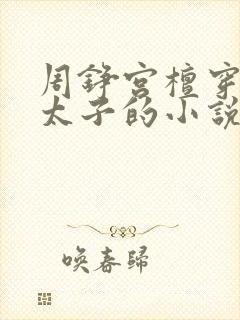 周铮宫檀穿越成太子的小说