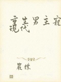 重生男主宠妻文现代