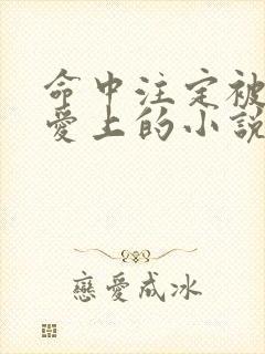 命中注定被反派爱上的小说