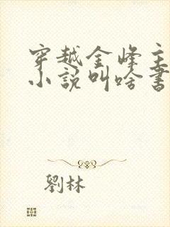 穿越金峰主角的小说叫啥书名