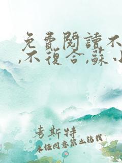 免费阅读不原谅,不复合,苏小姐独美