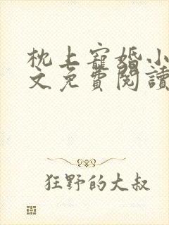 枕上宠婚小说全文免费阅读