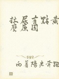 拉尿有点黄是什么原因