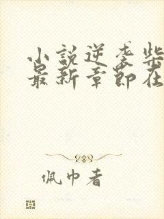 小说逆袭柴鸡蛋最新章节在线