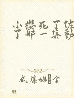 小樱死了佐助哭了哪一集动漫