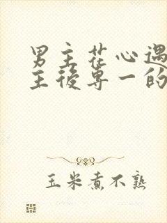 男主花心遇到女主后专一的小说