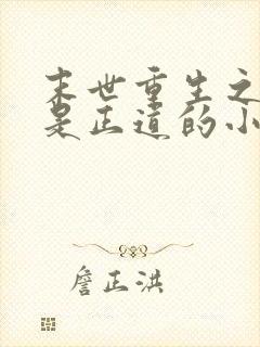 末世重生之宠妻是正道的小说