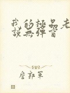 我的极品老婆小说无弹窗