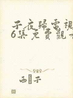 子夜归电视剧36集免费观看全集高清