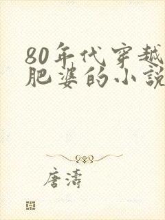 80年代穿越成肥婆的小说