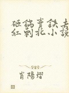 砸锅卖铁去上学红刺北小说免费完整版txt