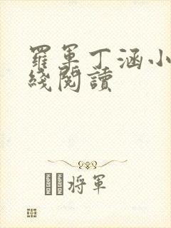 罗军丁涵小说在线阅读