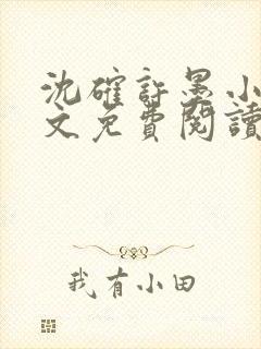 沈确许墨小说全文免费阅读