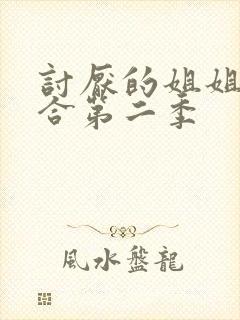 讨厌的姐姐超契合第二季