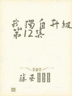 我独自升级动漫第12集