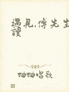 遇见,傅先生阅读