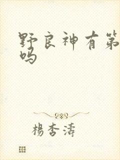 野良神有第三季吗