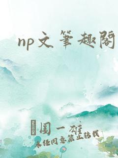 np文笔趣阁