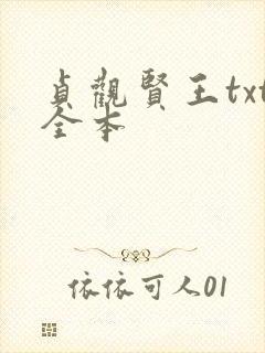 贞观贤王txt全本