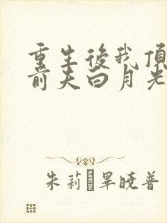 重生后我顶替了前夫白月光免费观看