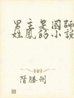 男主是国师女主姓凤的小说