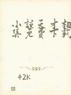 小说天才相师全集免费下载