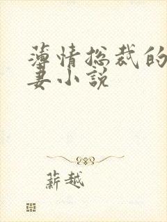 薄情总裁的替身妻小说