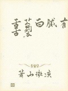 舌苔白腻有齿痕舌裂