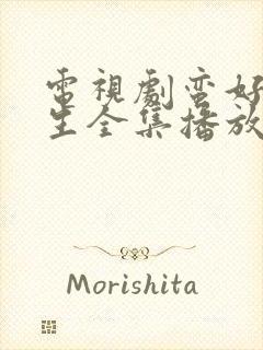 电视剧蛮好的人生全集播放