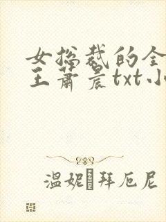 女总裁的全能兵王萧晨txt小说下载