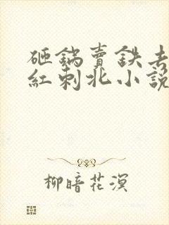 砸锅卖铁去上学红刺北小说未删减完整版