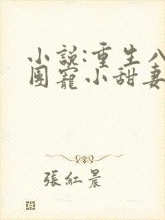 小说:重生八零团宠小甜妻