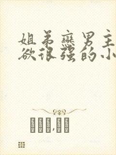 姐弟恋男主占有欲很强的小说