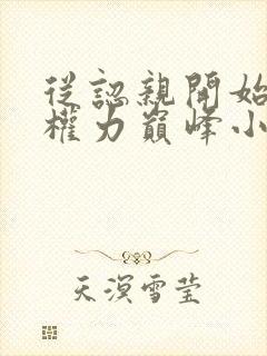 从认亲开始踏上权力巅峰小说完结版