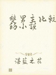 双男主比较好看的小说