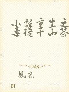 小说重生之将门毒后千山茶客完全版