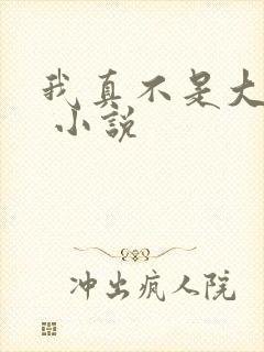 我真不是大反派 小说