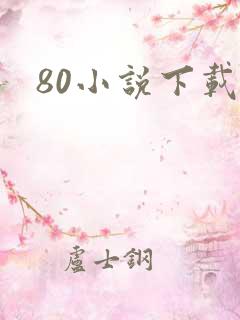 80小说下载网