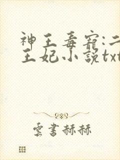 神王毒宠:二嫁王妃小说txt