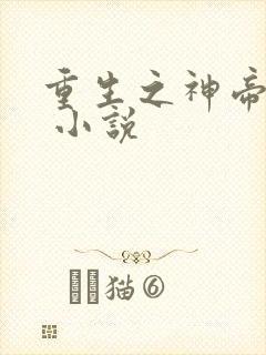 重生之神帝奶爸 小说