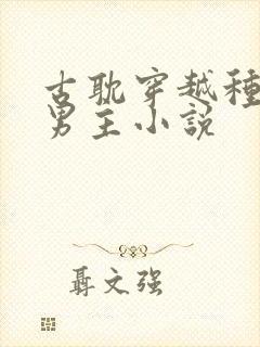 古耽穿越种田双男主小说