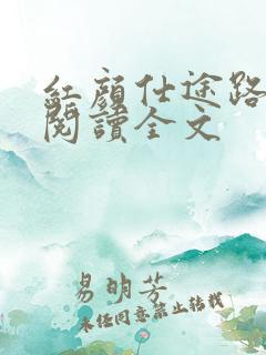 红颜仕途路免费阅读全文