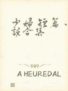 少妇 短篇 小说合集